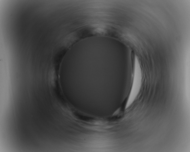 X0000091940223200709261938