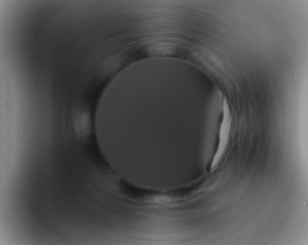 X0000091940224200709261938