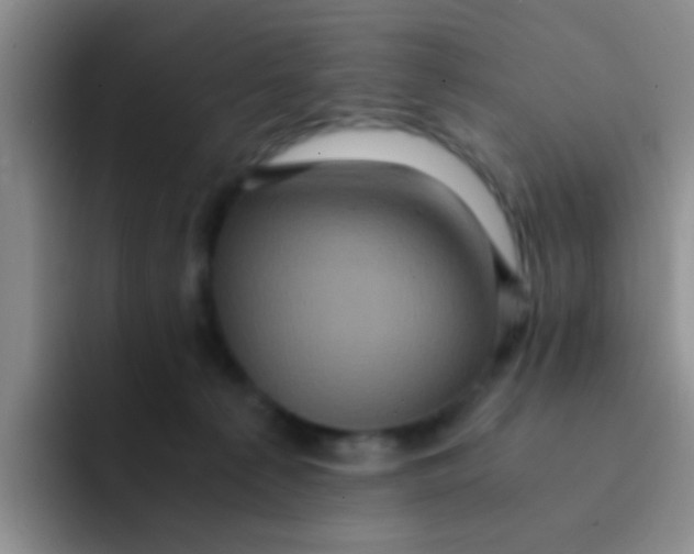 X0000091940225200709261938