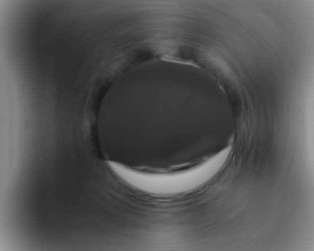 X0000091940229200709261938