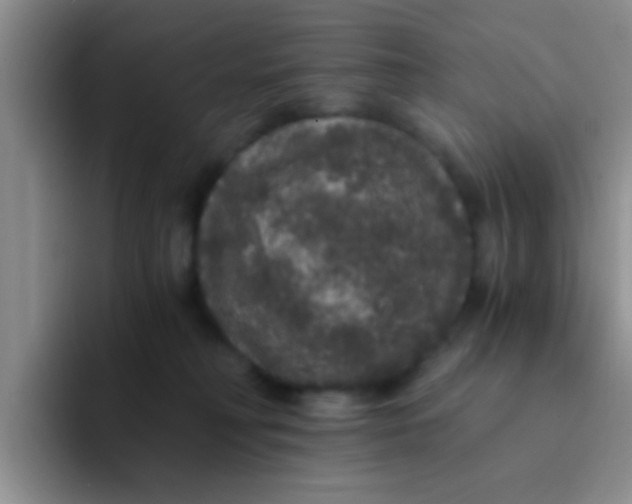 X0000091940230200709261938