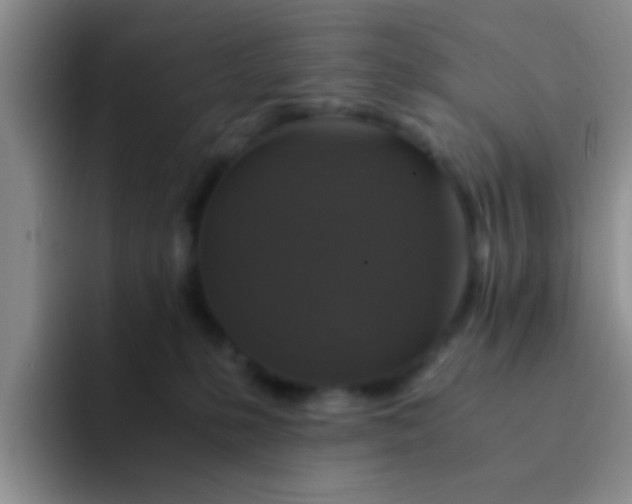 X0000091940231200709261938