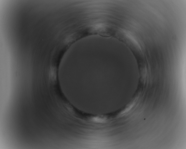 X0000091940232200709261938