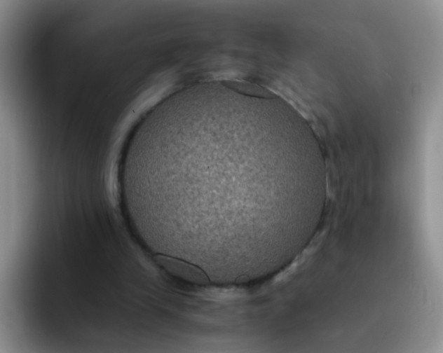 X0000091940245200709261937