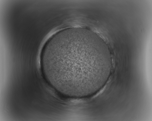 X0000091940246200709261937