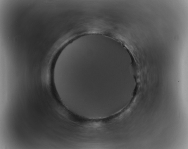 X0000091940247200709261937