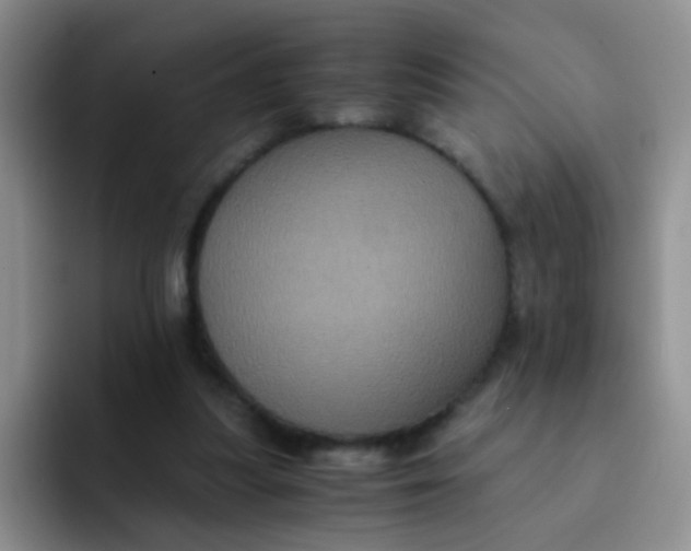 X0000091940251200709261937