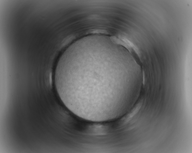 X0000091940253200709261937