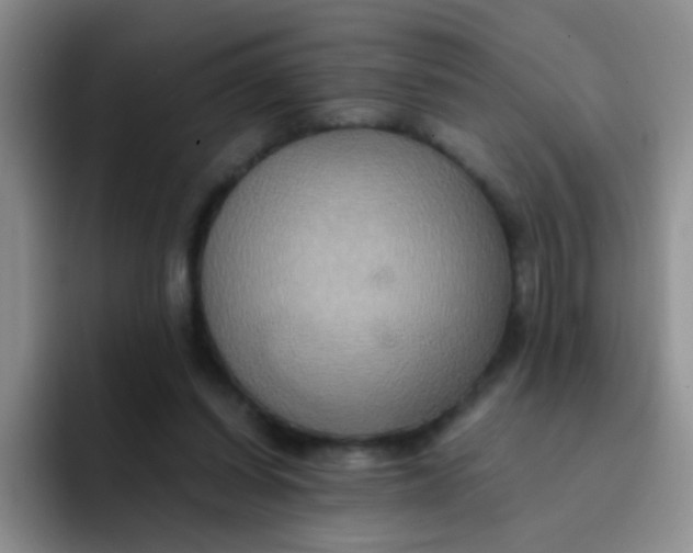 X0000091940254200709261937