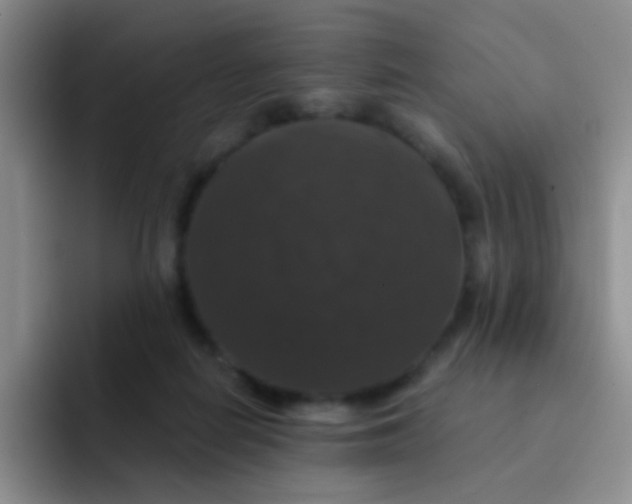 X0000091940266200709261938