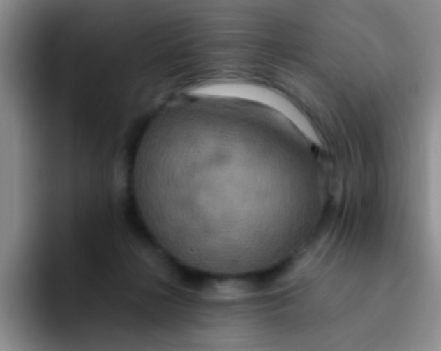 X0000091940268200709261938