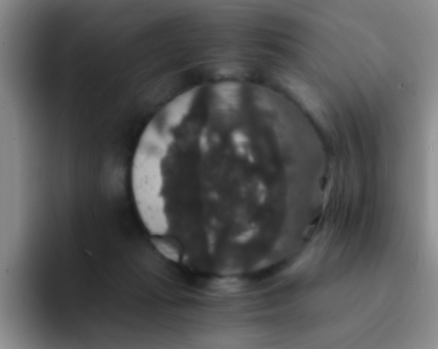 X0000091940269200709261938