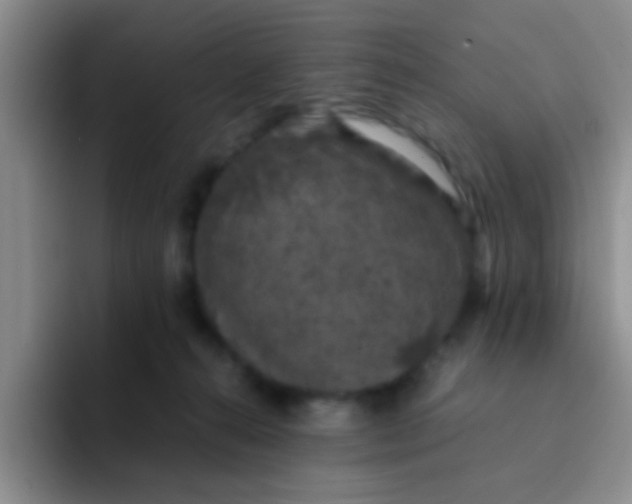 X0000091940272200709261938