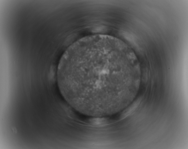 X0000091940273200709261938