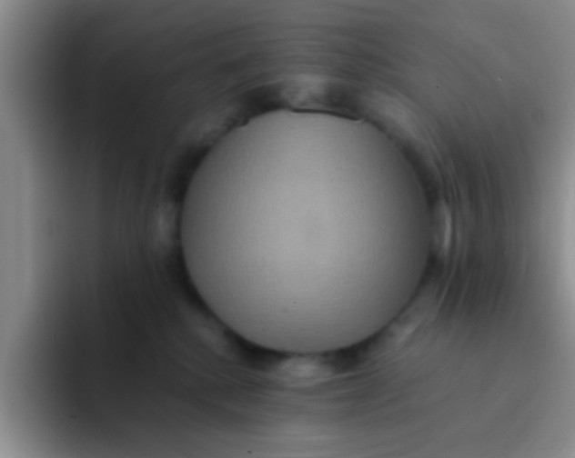 X0000091940280200709261938