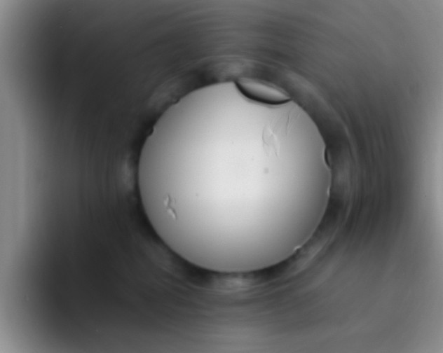 X0000091940282200709261938