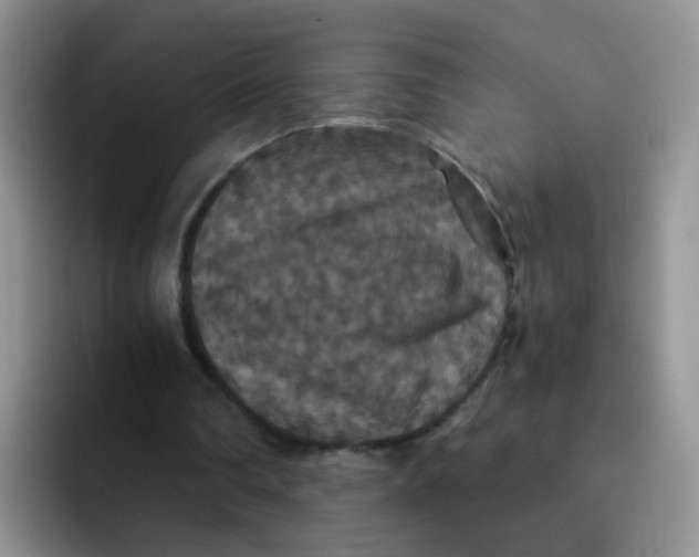 X0000091940290200709261937