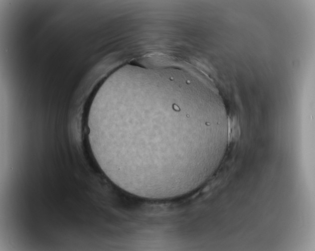 X0000091940291200709261937