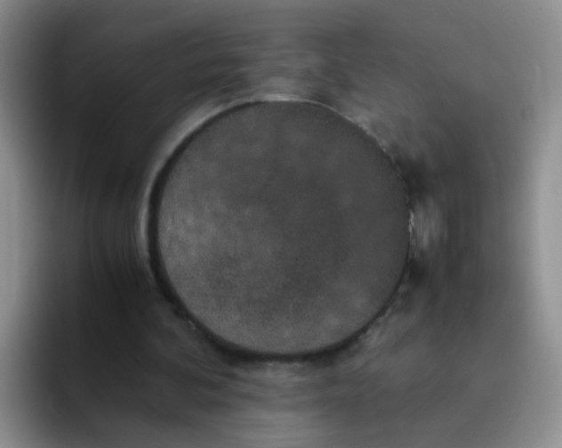 X0000091940292200709261937