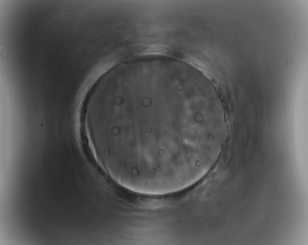 X0000091940293200709261937