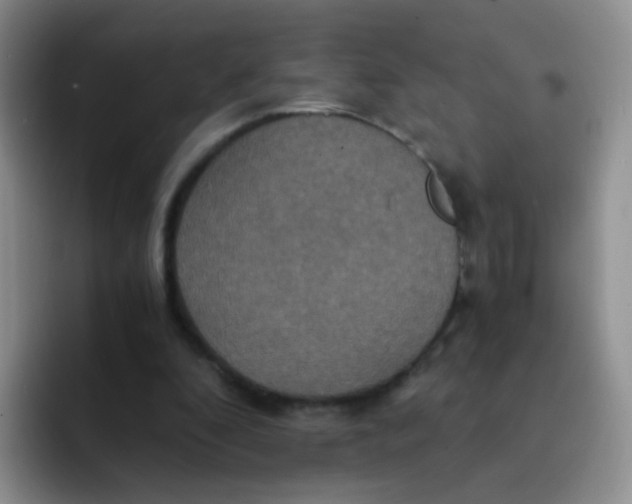 X0000091940296200709261937