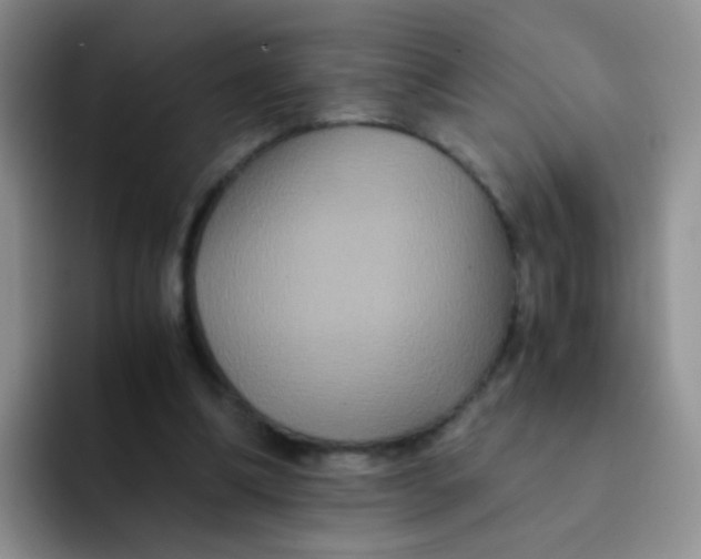 X0000091940298200709261937