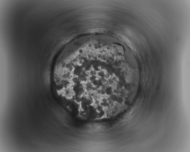 X0000091940299200709261937