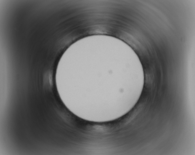 X0000091940302200709261937