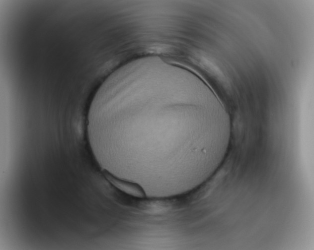 X0000091940305200709261937