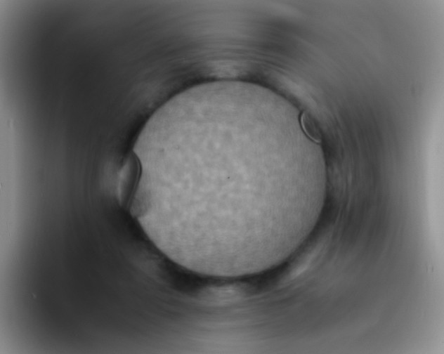 X0000091940307200709261937