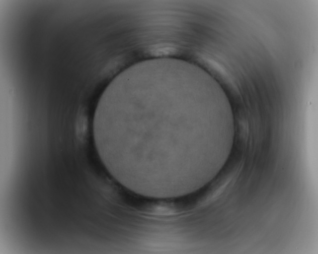 X0000091940308200709261937