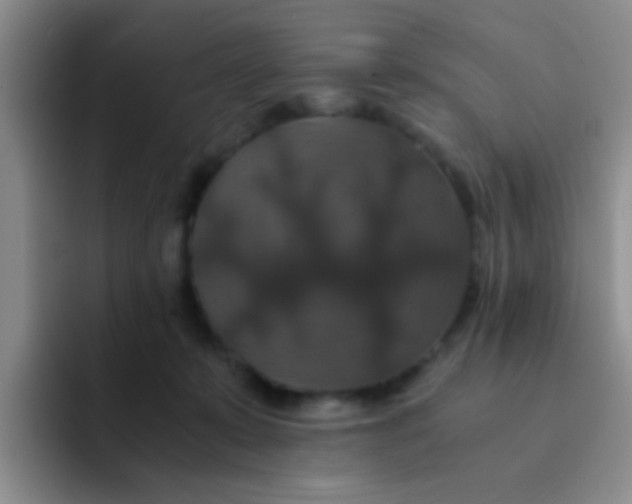 X0000091940319200709261937