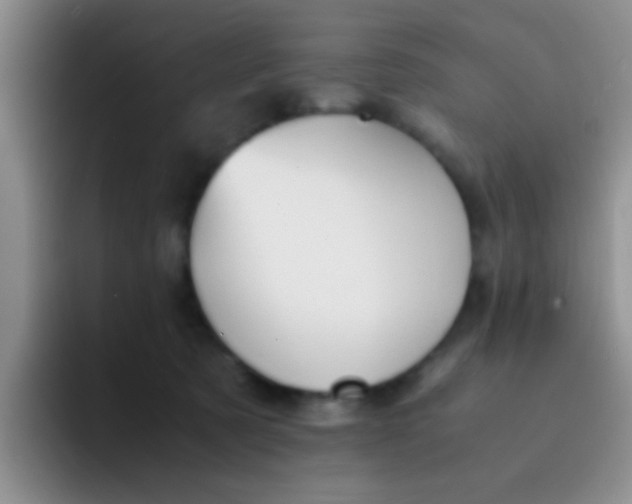 X0000091940321200709261937