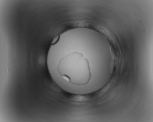 X0000091940326200709261937