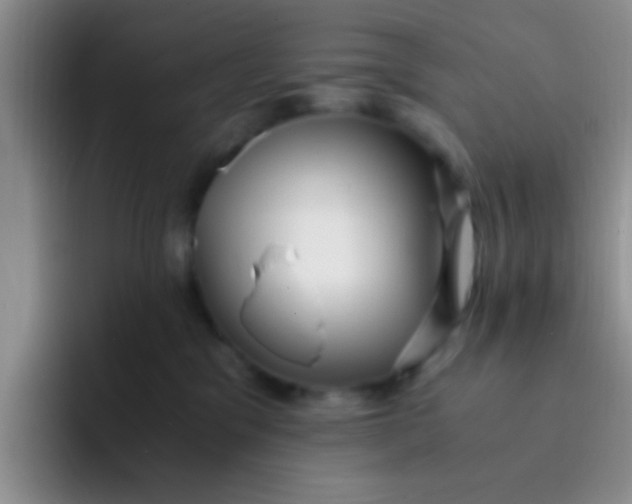 X0000091940329200709261937