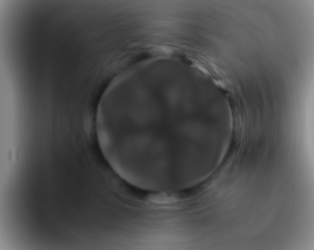 X0000091940331200709261937