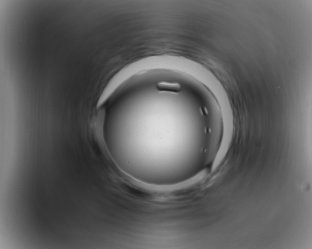 X0000091940333200709261937