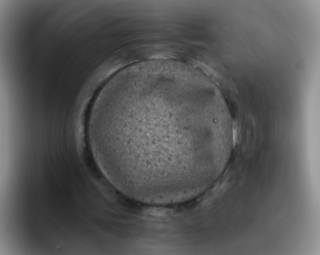 X0000091940339200709261936