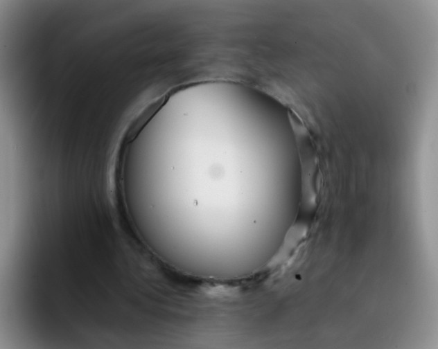 X0000091940340200709261936