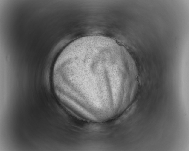 X0000091940341200709261936