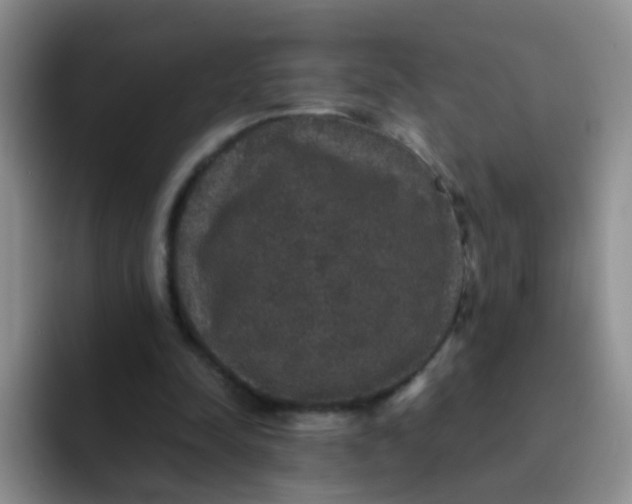 X0000091940342200709261936