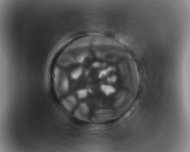 X0000091940343200709261936