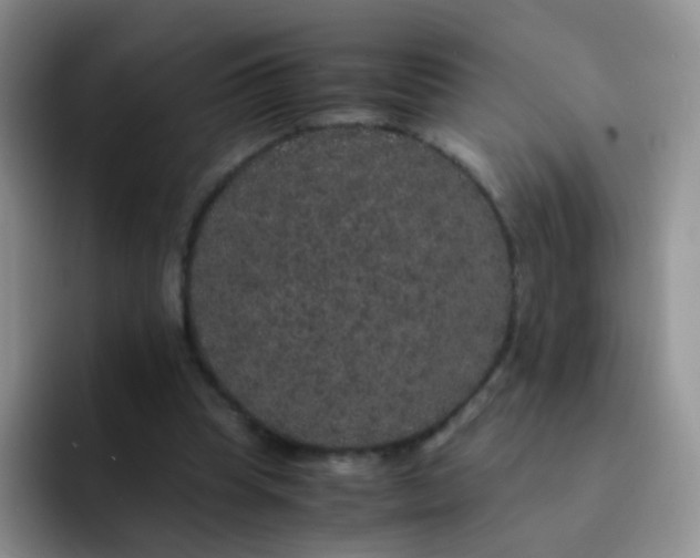 X0000091940345200709261936