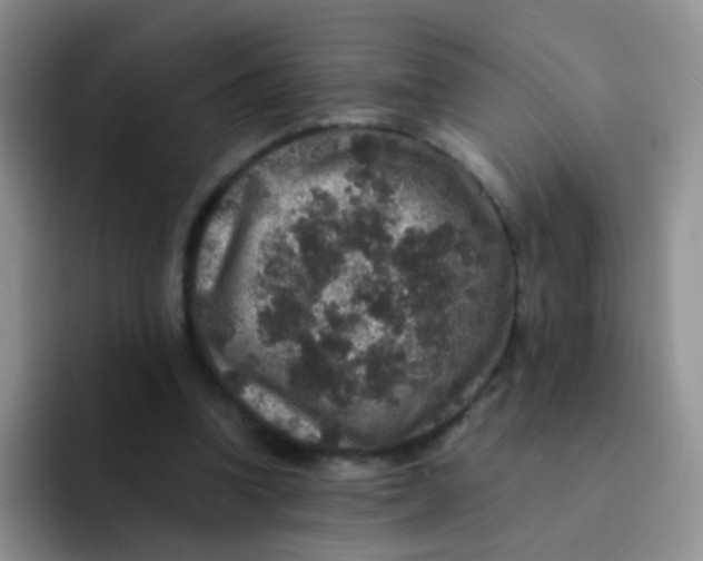 X0000091940346200709261936