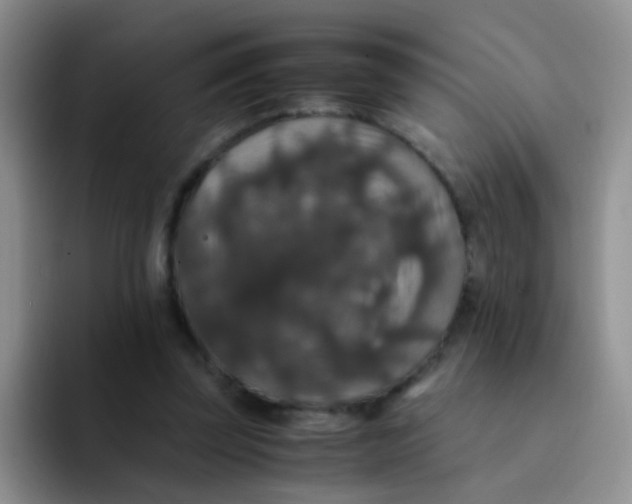 X0000091940347200709261936