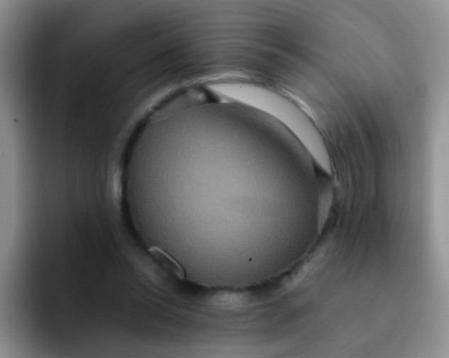 X0000091940350200709261936