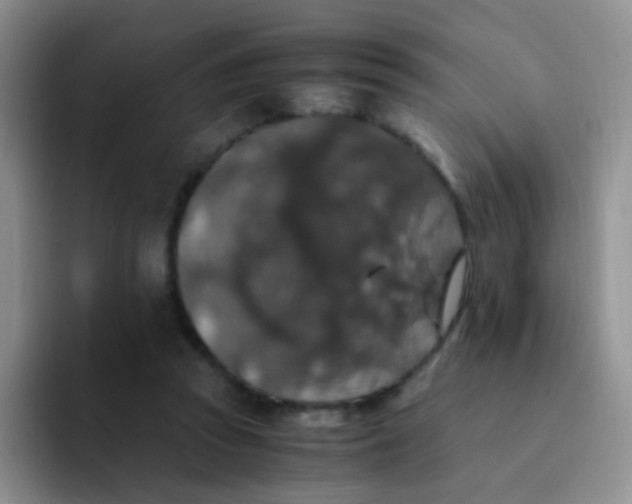 X0000091940353200709261936