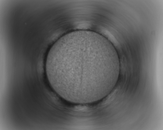 X0000091940354200709261936