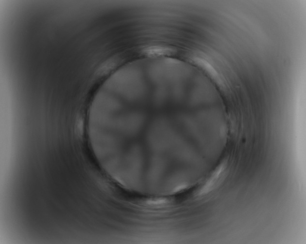 X0000091940357200709261936