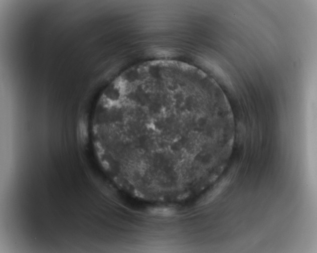 X0000091940358200709261936